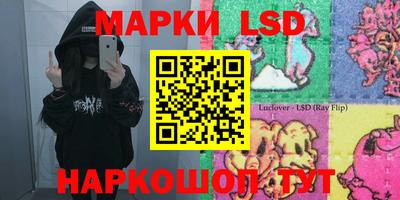 дмт Гусев