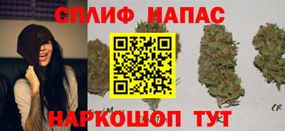 дмт Гусев
